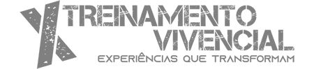 treinamentovivencial logo cinza 20241107